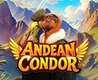 Andean Condor